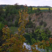 f10fbab8d2a388e441203543e07c1977