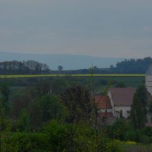 8a4d630729e97b2f12c0a318fc75f394