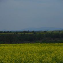 cd70c91beef8603cd45db98d2afaa59a