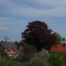 fcbd5dfbc14b06aae71130e5c7b46cbd