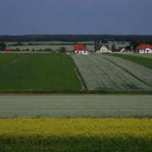 29af4cf3bc4c75e606a0d4f181e2aa46