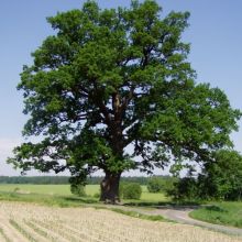 8b3aeecb94ce5a76d235821ab8b67b72