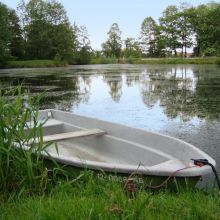 a5120d13a75074e609596309a8529674