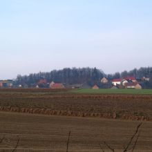 0e7d4fc8cf5f89724daaf7a99e15239d