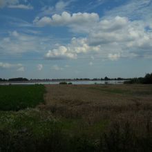 23d679e1ae32e70ecf67101c6373be0d