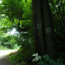 329b0a6a51d7d3d0f772fd7f205aaa1f