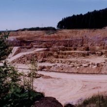 44c4cebce8a28eba450fd780424d8dee