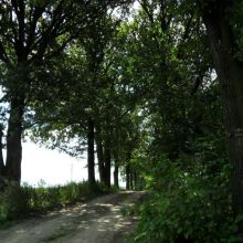 9d7aad44857b49c26d5f637da0381504