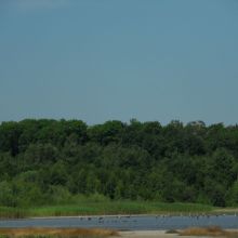 d9505afa8bfb82f23fa60342737b52f9