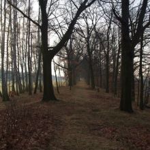 ff274a8a1ed88eb6c7a43c2aa1533a20