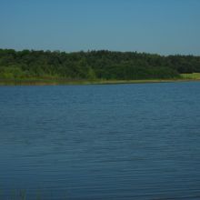 018ee3c7a8044b19e0f173c58291e09b