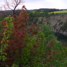 0f8e5794a4210ad511c54f4390b3f6bf