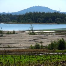 1dec260312c4c0d3148fe599773e9431