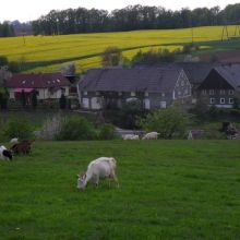 2071fd41d98fa92c2225bb55f238fc04