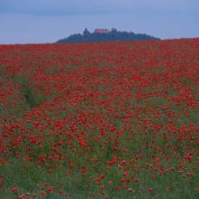 2872c4e4fd656bf45eb4bdb56391380b