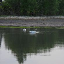 2c2e87eb8b3ff154960f6f656ecbd481