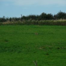 2de06c3f2cacf7403bcbc0d83592da19