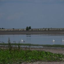 4aec3d18231f1a14d33a675d05c81013