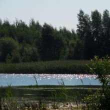 537e7fe54fafab59d704165de5a4ba83