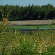 7c82f9be9b241ac0b0c08f39f734d78d