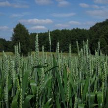 7dc18e5a20dc29527d34033e0ef1134b