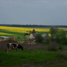 94c6c0f311f54c6c2b3099f826316da5