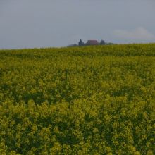 a17658d191a9d052b370042006474961