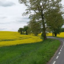 a56a7d23b312743f82d14d0245dd9aa4