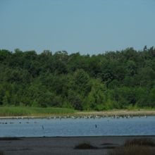 ab7318024ff4a57e23daa625880d77f0