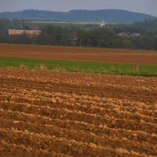 ae49aef942267fa3c03fac3e7203bb6d