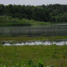 b39d82494b591ddff2da9c10ae530b4b