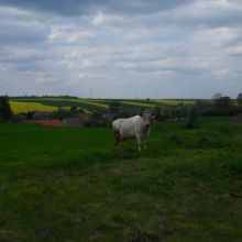 b6aaf54cdcdb7dec565b787278c34f5f