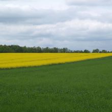 ba0326970641bbf5a13de06b3c22a057