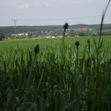 c795c885b0f91838ab698d610b6905d1