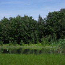 c9171c9f525eade81da316f02dacd042