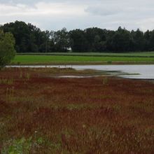 da569bc41efa8b2998f6c1d0ce3c26cf