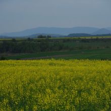 ddbd6dee33e75bed7d0671036bfa9b07