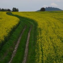 e0f810085f23ed23fdd6062defc67359