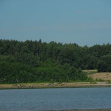 efefc00c039aefbe5ffe12bbd9a42231