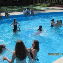 31ef51b9da0338f695ff65314d1d5472