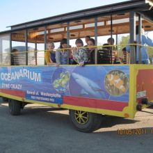 5fd5031e8b67ca09d113c861602d3da2