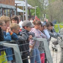 d532b80f78498db0c92fd1621475f768