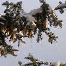 1308fbb6d52f443c264c61b86ca84f1c