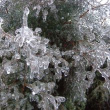 13d938f136aeee524a9ef9c03c235a4c