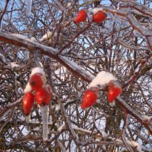 1f0fcaded1d35e8c0aaba10411d3de7c