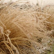 26e1a70c9b8233bc8ad675c5254dd81c