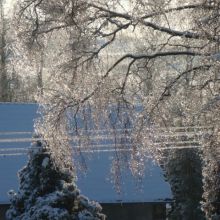 2e834237e4283af980a90da5655cd97b