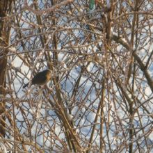 34a095a07897af46e9c609b08484ccd6