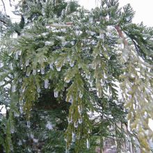 545408e57f0e11f5b5c16fafcf1549f0