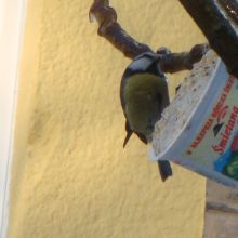 5fd8ef02da3e158775c72a67c77f6874